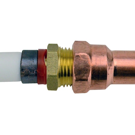 Apollo 1/2 in. Brass PEX Barb x 1/2 in. Male Pipe Thread Adapter APXMA1212
